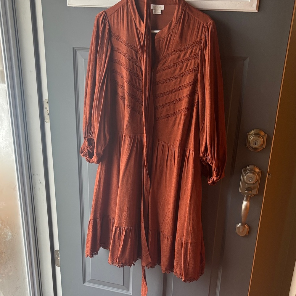 City Chic perfect Thanksgiving dress! Terracotta Long Sleeve Dress